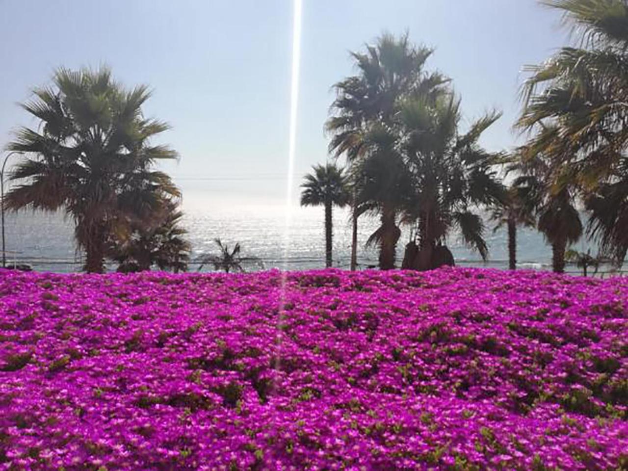 Playa Paraiso Resort 康康 外观 照片